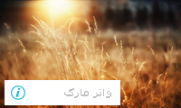 کارگاه آموزشی امنیت اطلاعات کاربران